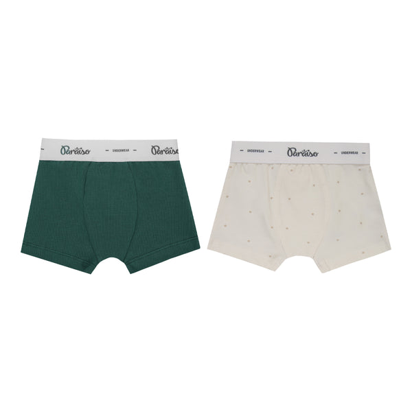 Cueca Baby Paraiso Malha Conforto Anatômica Estampada Kit 2 Peças