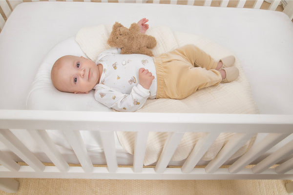 Conjunto Baby Letut Plush Dinossauro Manga Longa com Bordado Exclusivo